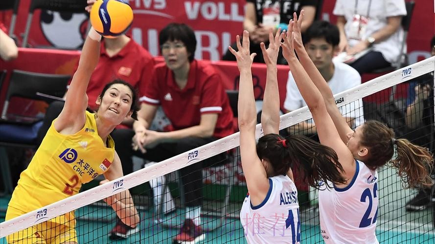 全程高清直播：世界杯女排赛精彩对决视频